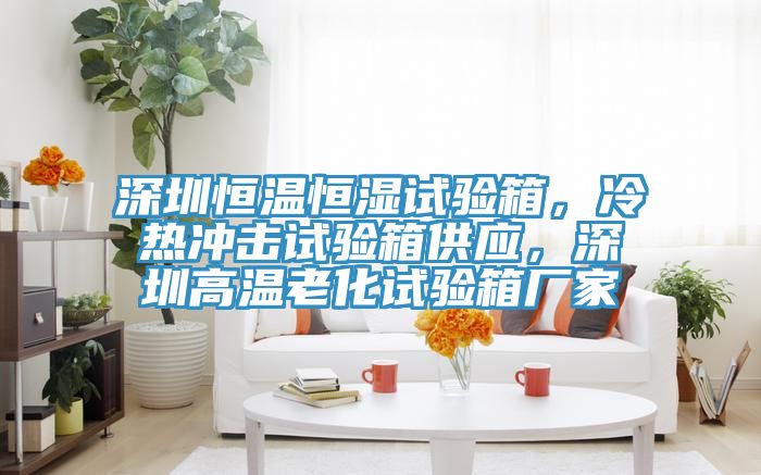 深圳恒溫恒濕試驗箱，冷熱沖擊試驗箱供應，深圳高溫老化試驗箱廠家