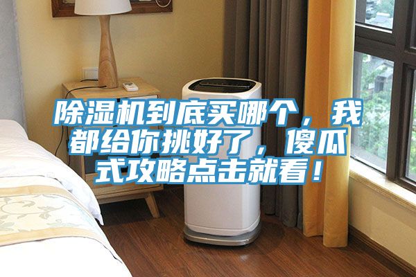 除濕機到底買哪個，我都給你挑好了，傻瓜式攻略點擊就看！