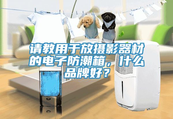 請教用于放攝影器材的電子防潮箱，什么品牌好？