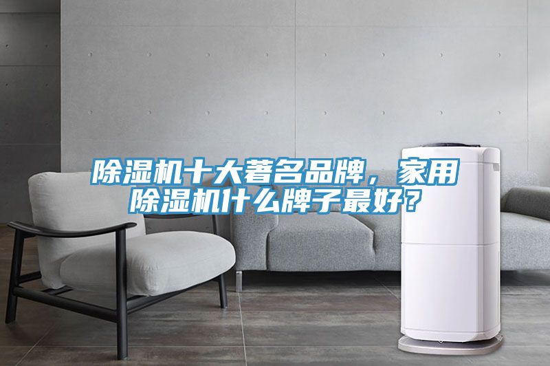 除濕機(jī)十大著名品牌，家用除濕機(jī)什么牌子最好？