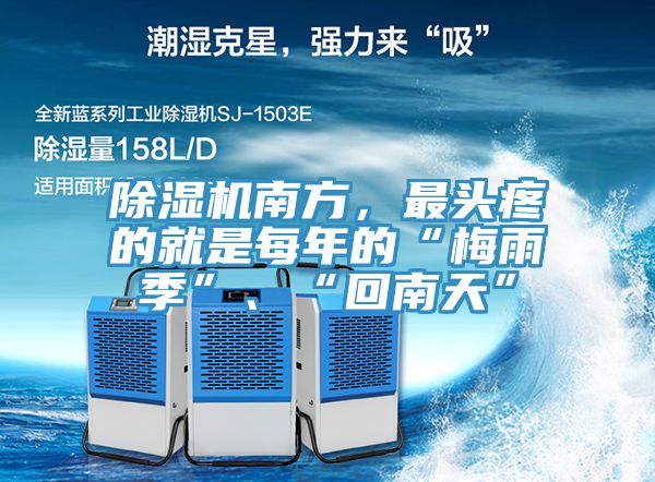除濕機南方，最頭疼的就是每年的“梅雨季”、“回南天”