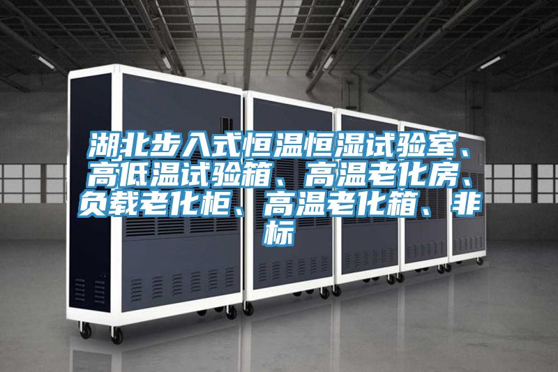 湖北步入式恒溫恒濕試驗室、高低溫試驗箱、高溫老化房、負載老化柜、高溫老化箱、非標(biāo)