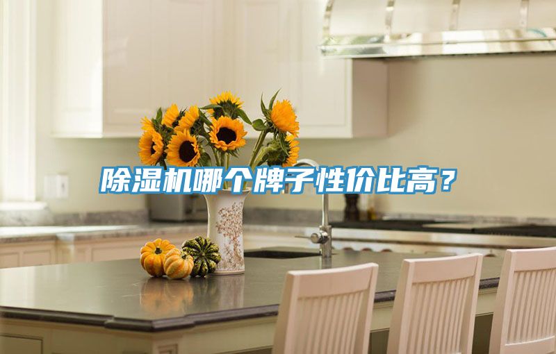 除濕機(jī)哪個牌子性價比高？