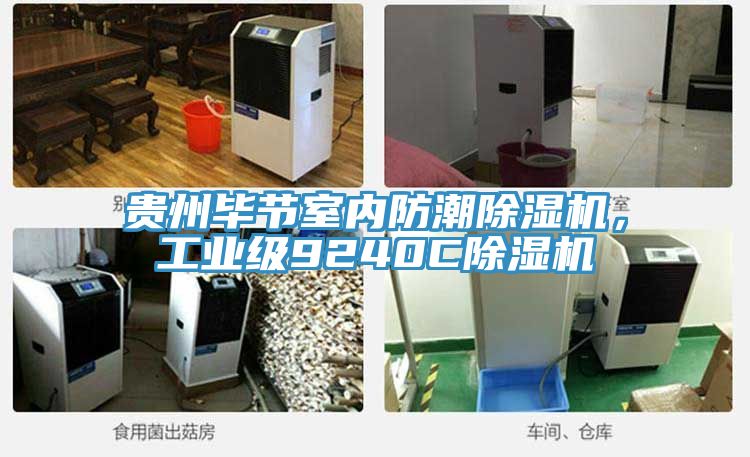 貴州畢節(jié)室內防潮除濕機，工業(yè)級9240C除濕機