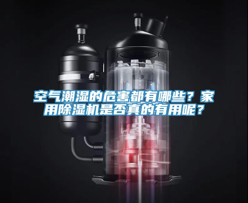 空氣潮濕的危害都有哪些？家用除濕機(jī)是否真的有用呢？