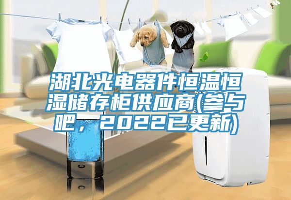 湖北光電器件恒溫恒濕儲(chǔ)存柜供應(yīng)商(參與吧，2022已更新)