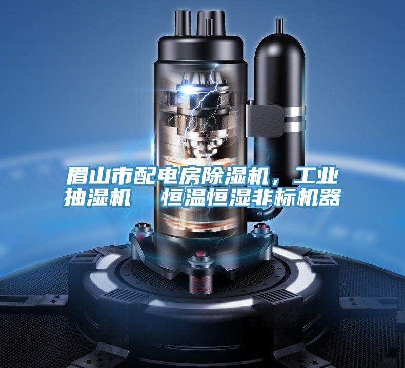 眉山市配電房除濕機(jī)，工業(yè)抽濕機(jī)  恒溫恒濕非標(biāo)機(jī)器