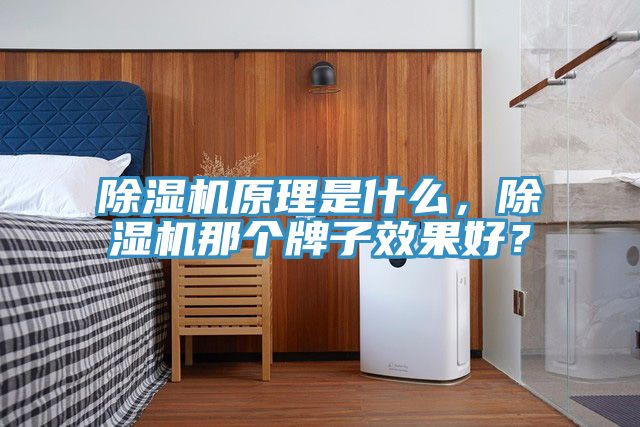 除濕機(jī)原理是什么，除濕機(jī)那個牌子效果好？