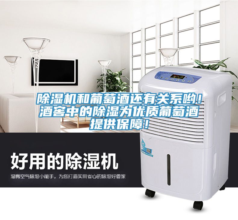 除濕機(jī)和葡萄酒還有關(guān)系喲！酒窖中的除濕為優(yōu)質(zhì)葡萄酒提供保障！