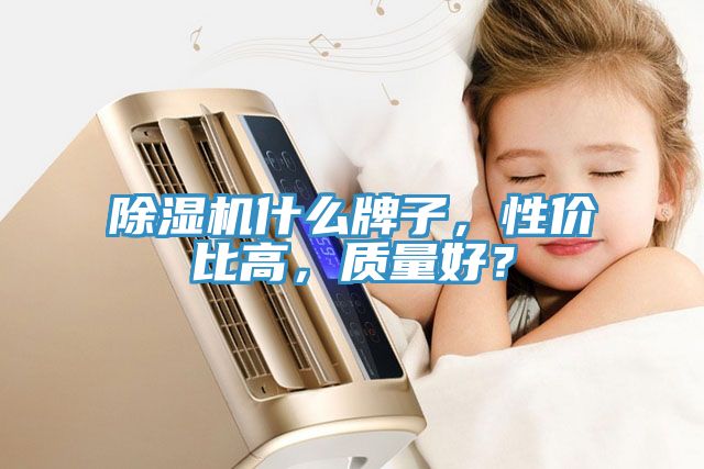 除濕機什么牌子，性價比高，質(zhì)量好？