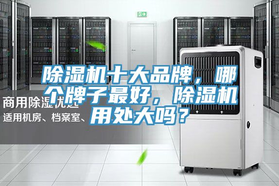除濕機(jī)十大品牌，哪個(gè)牌子最好，除濕機(jī)用處大嗎？