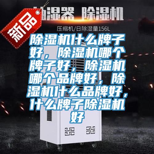 除濕機(jī)什么牌子好，除濕機(jī)哪個(gè)牌子好，除濕機(jī)哪個(gè)品牌好，除濕機(jī)什么品牌好，什么牌子除濕機(jī)好