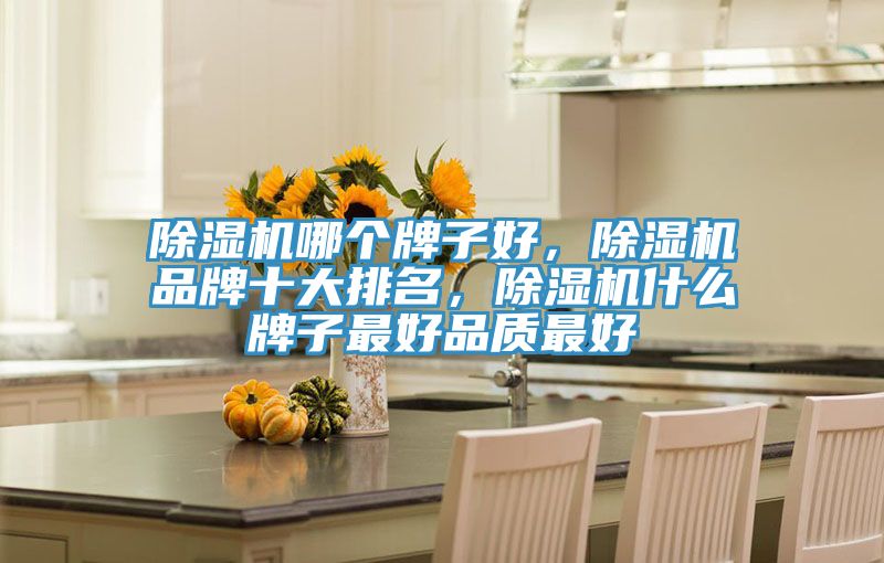 除濕機哪個牌子好，除濕機品牌十大排名，除濕機什么牌子最好品質(zhì)最好