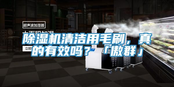 除濕機清潔用毛刷，真的有效嗎？「傲群」