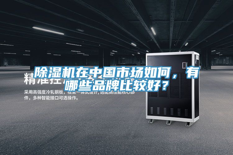 除濕機(jī)在中國(guó)市場(chǎng)如何，有哪些品牌比較好？