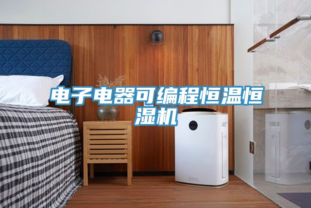 電子電器可編程恒溫恒濕機(jī)