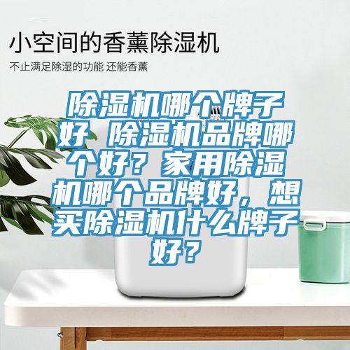 除濕機哪個牌子好 除濕機品牌哪個好？家用除濕機哪個品牌好，想買除濕機什么牌子好？