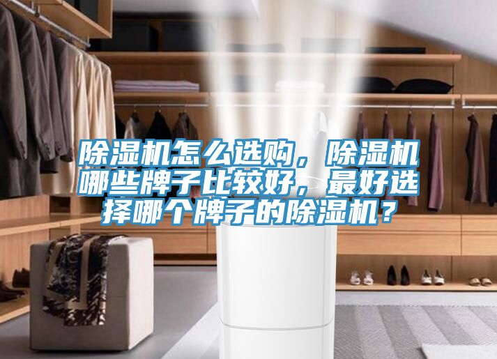 除濕機(jī)怎么選購(gòu)，除濕機(jī)哪些牌子比較好，最好選擇哪個(gè)牌子的除濕機(jī)？