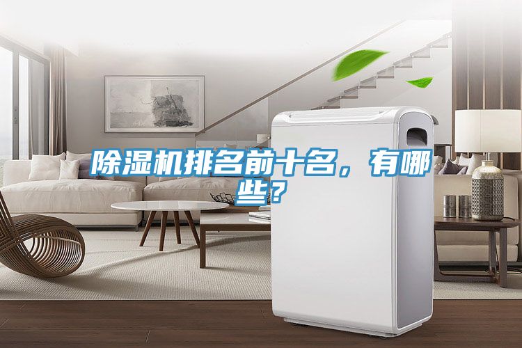 除濕機排名前十名，有哪些？