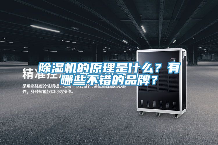 除濕機的原理是什么？有哪些不錯的品牌？