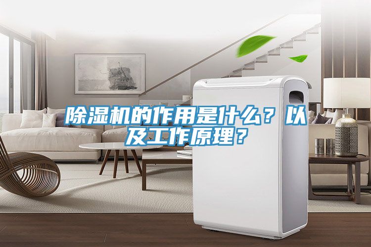 除濕機(jī)的作用是什么？以及工作原理？