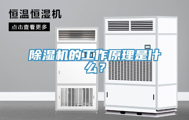 除濕機的工作原理是什么？