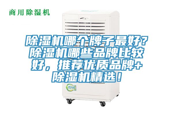 除濕機(jī)哪個(gè)牌子最好？除濕機(jī)哪些品牌比較好，推薦優(yōu)質(zhì)品牌+除濕機(jī)精選！