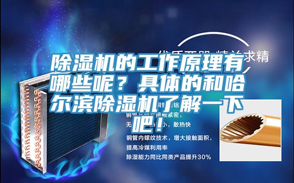 除濕機的工作原理有哪些呢？具體的和哈爾濱除濕機了解一下吧！