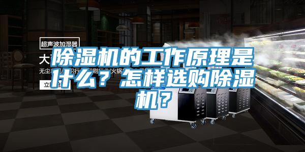 除濕機的工作原理是什么？怎樣選購除濕機？