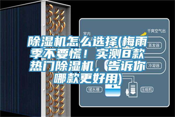 除濕機(jī)怎么選擇(梅雨季不要慌！實(shí)測(cè)8款熱門除濕機(jī)，告訴你哪款更好用)