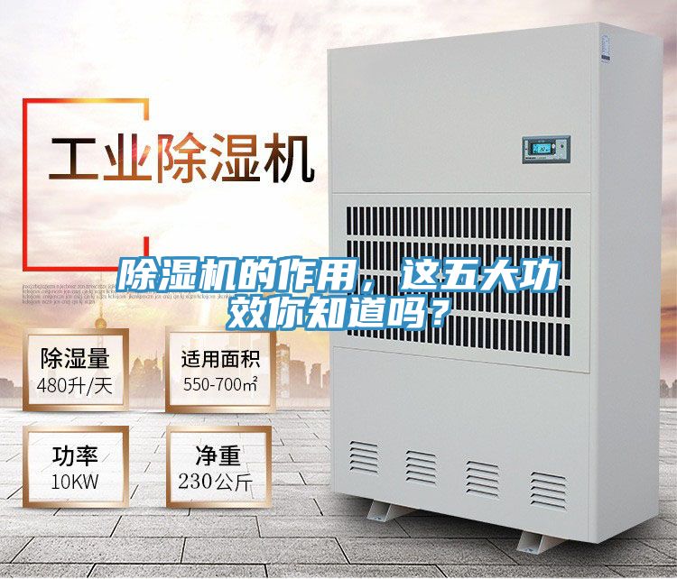 除濕機(jī)的作用，這五大功效你知道嗎？